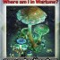 Guild Battle + Spire + Catacombs Level 100 videos + Where am I?