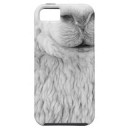 Designs Inspired by Alpaca
