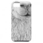 Designs Inspired by Alpaca