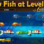 New Fish at Level 5 and 1+ year to VIP Fish