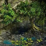 Where in Wartune is this Swamp Tree - small