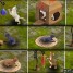 KITTEN CLUB GUIDE, Cats and Analysis
