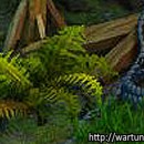 Where in Wartune is this? Rope & Plant