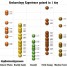 Daily Archaeology Experience Data Analysis