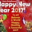 Happy Happy 2017!
