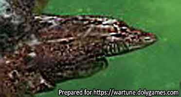 Where in Wartune is this Sharp Cliff - guess OPT