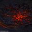 Where in Wartune is this? Lava Star
